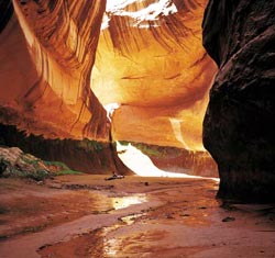 Cathedral in the Desert